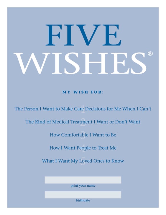 five-wishes-my-pink-lawyer